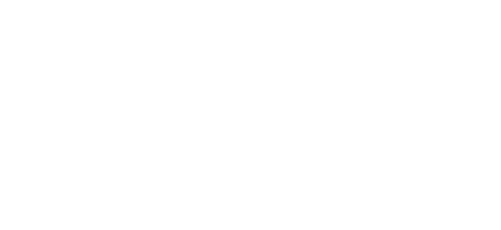 Turais Logo